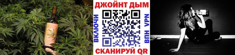 Cannafood конопля  Новошахтинск 