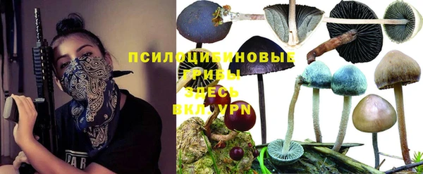 шишки Красноперекопск