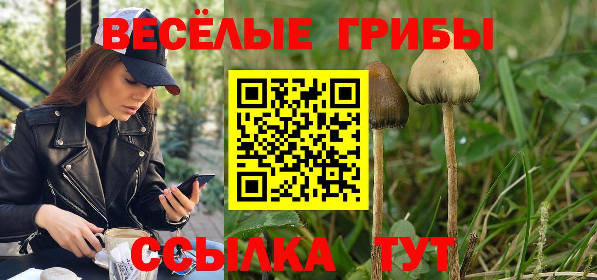 А ПВП Новошахтинск