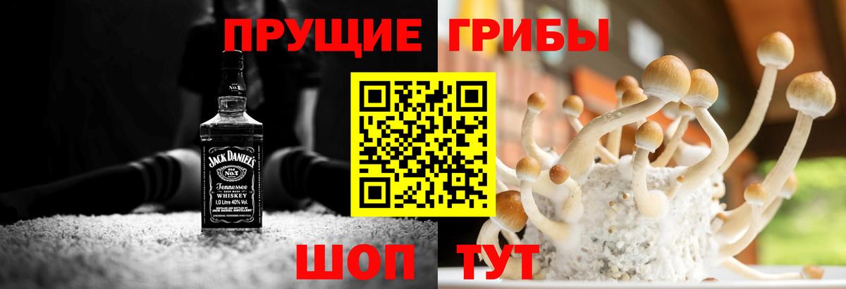 Галлюциногенные грибы мухоморы Новошахтинск