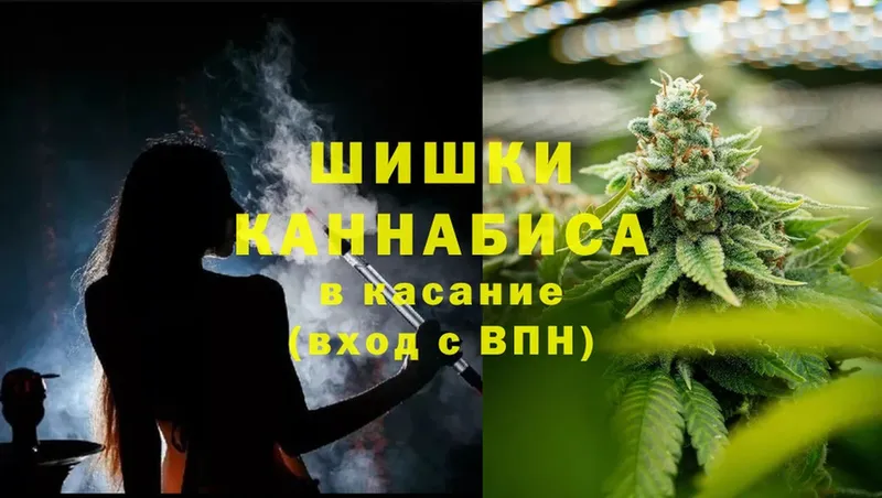 Марихуана White Widow  Новошахтинск 